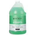 Club & Fitness Shampoo, 128Oz, Aloe Vera